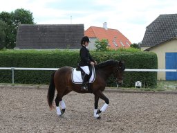 IMG_4843_web